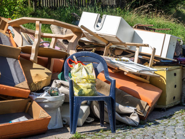 Best Furniture Removal Near Me  in Nes, IL