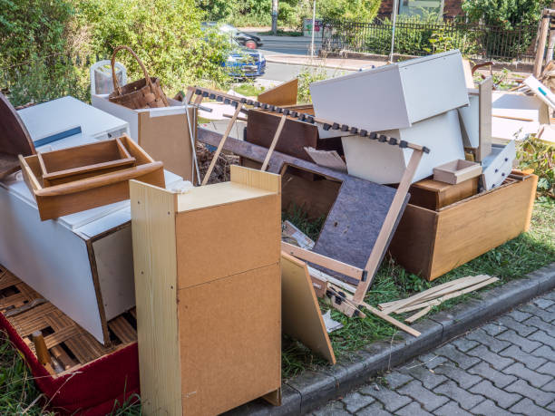 Best Same-Day Junk Removal  in Nes, IL