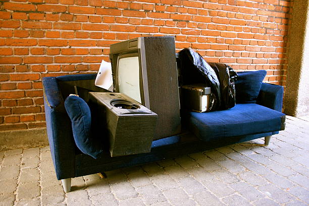 Best Same-Day Junk Removal  in Nes, IL